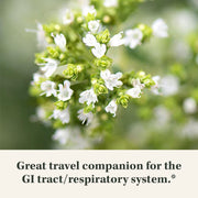 Gaia Herbs Oil of Oregano, Maintain a healthy gut 60 Vegan Liquid Phyto-Caps