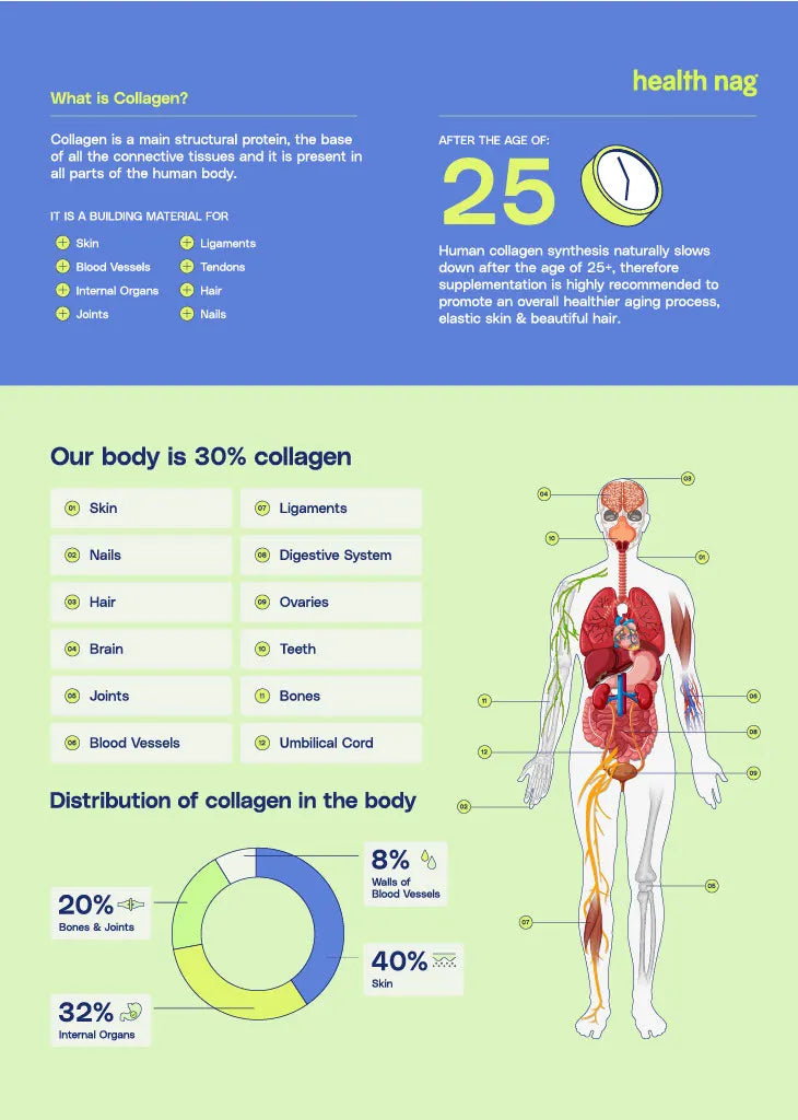 Health Nag Bioactive Collagen Jelly Better Absorption & Highest Quality Promotes Healthy Joints, Youthful Skin Elasticity & Stronger, Healthier Hair Green Apple 400g