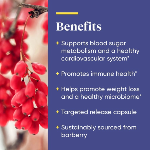 Enzymedica Berberine , for Blood Sugar Balance, Cardiovascular, Immune & Metabolic Support 60 Capsules