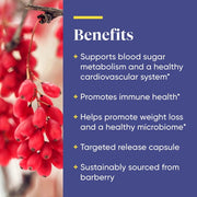 Enzymedica Berberine , for Blood Sugar Balance, Cardiovascular, Immune & Metabolic Support 60 Capsules