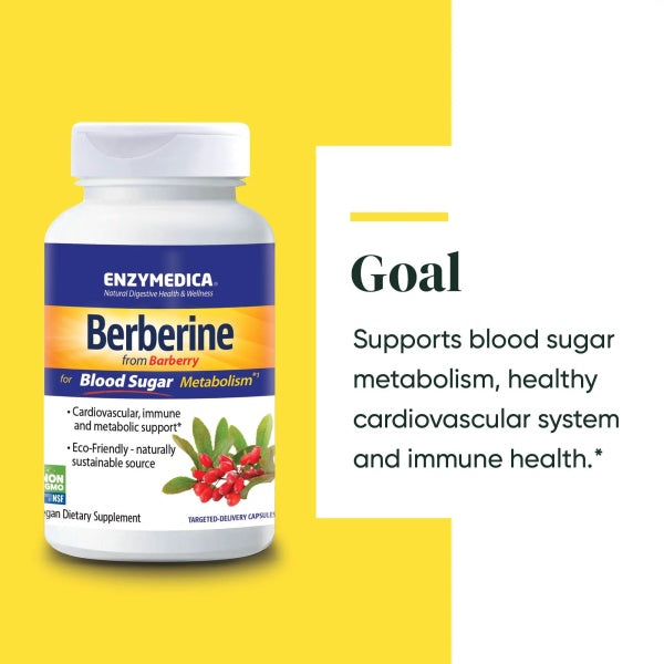 Enzymedica Berberine , for Blood Sugar Balance, Cardiovascular, Immune & Metabolic Support 60 Capsules