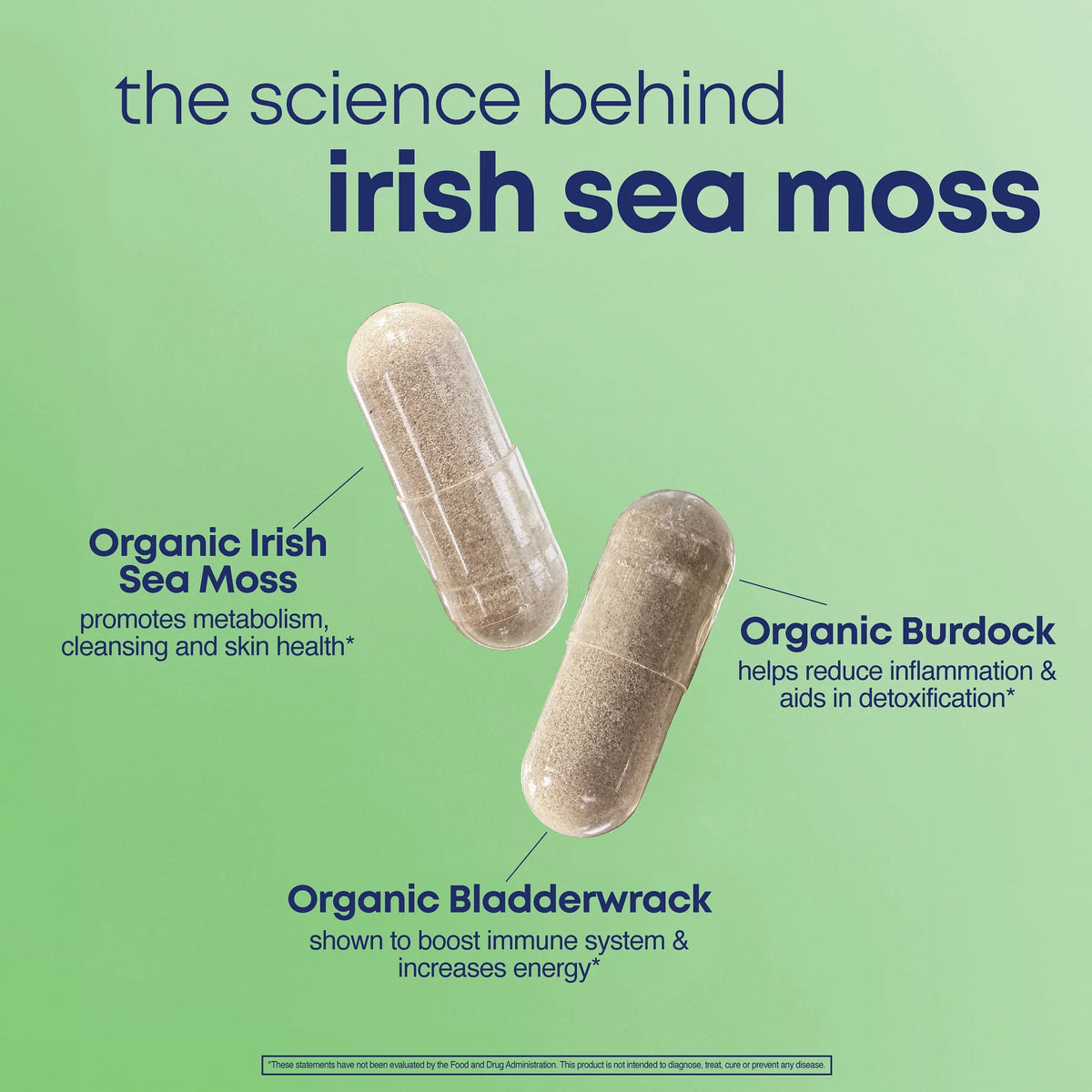 Her Own Irish Sea moss Detox & Metabolism 60 caps