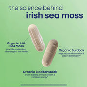 Her Own Irish Sea moss Detox & Metabolism 60 caps