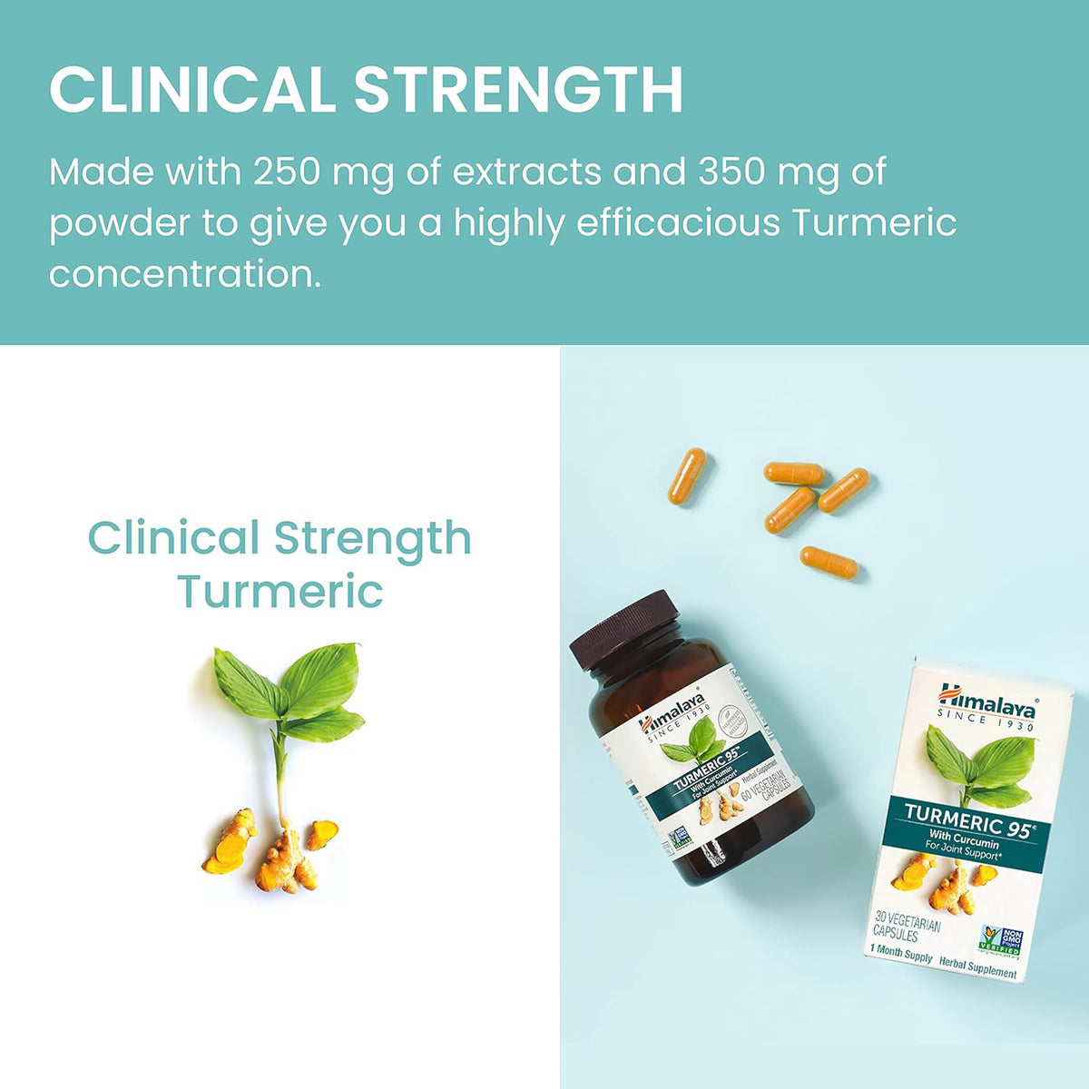 Himalaya Turmeric 95 with Curcumin Joint and Muscle Support Flexibility and Mobility, 60 Vegetarian Capsules