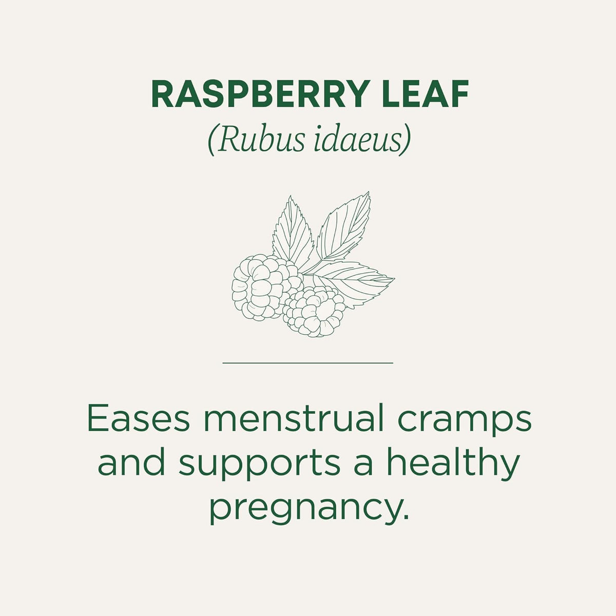 Traditional Medicinals organic Pregnancy Tea menstrual cramp + pregnancy support (Raspberry Leaf) 16 bags , 24g