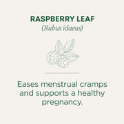 Traditional Medicinals organic Pregnancy Tea menstrual cramp + pregnancy support (Raspberry Leaf) 16 bags , 24g