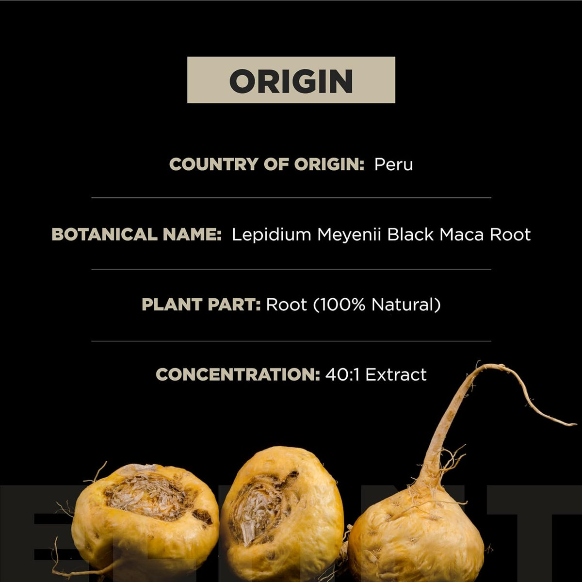 ELMNT - Black Maca, Ashwagandha, 40,000mg, 40x Strength, with Bioperine, Boost energy and Enhance vitality, 90 Capsules