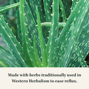 Gaia Herbs Reflux Relief, with Marshmallow Root, Chamomile, Aloe, Helps with Occasional Heartburn & Relieve Indigestion 45 Chewable Tablets