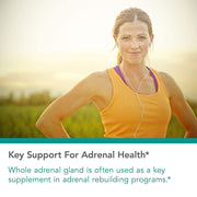Nutricology Adrenal , Natural Glandular – Stress, Energy & Adrenal Support 150 Veg caps