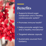 Enzymedica Berberine , for Blood Sugar Balance, Cardiovascular, Immune & Metabolic Support 60 Capsules
