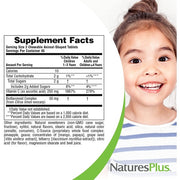 NaturesPlus Animal Parade Vitamin C, Children’s Chewable – Natural Orange Juice Flavor, 90 Animal-Shaped Tablets