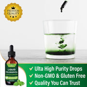 New Age Liquid Chlorophyll Concentrated Drops Internal Deodorant, Detoxifier, Energy Support 60ml