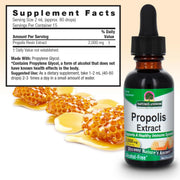 Nature's Answer Propolis Extract 2000mg Powerful Immune & Oral Health Support, Antibacterial & Antioxidant 30ml