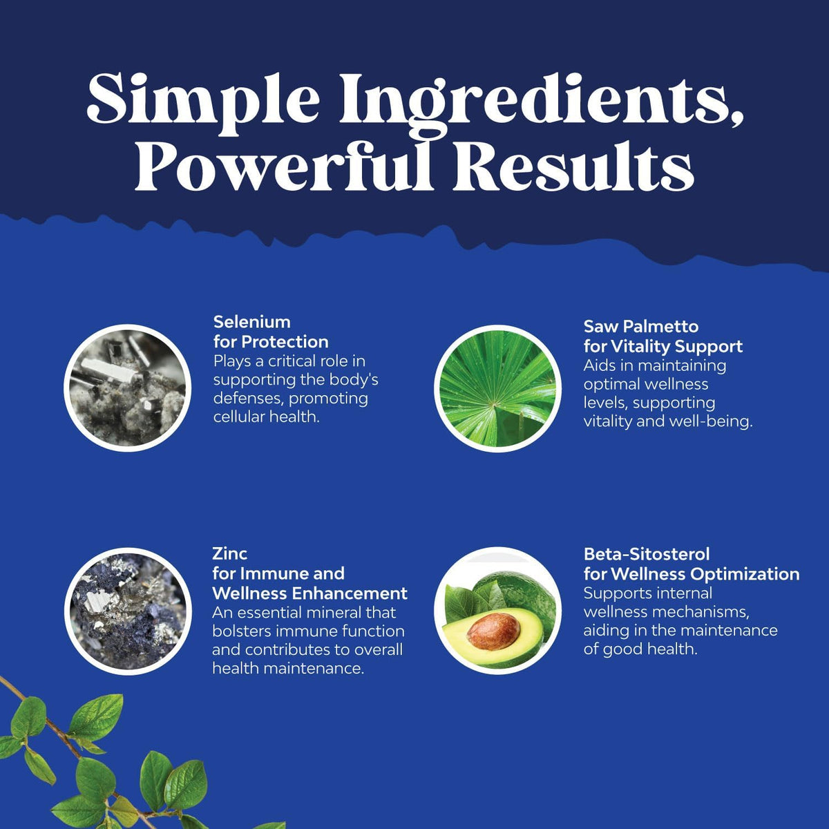 Nature's Craft Men's Saw Palmetto 100 Capsules