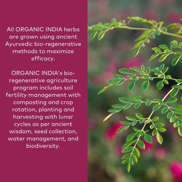 ORGANIC INDIA Moringa, Herbal Supplement, Vitamin A, E, K, Iron, Calcium & Fiber, 90 Capsules