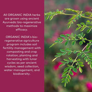 ORGANIC INDIA Moringa, Herbal Supplement, Vitamin A, E, K, Iron, Calcium & Fiber, 90 Capsules
