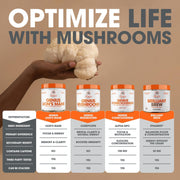 The Genius Brand Genius Lions Mane Support Foucs & Memory & Mood 120 Veg Caps