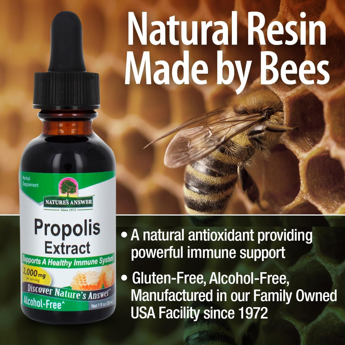 Nature's Answer - Propolis Extract, Alcohol-Free, 1,000 mg, Support A Healthy Immune System, 30 ml