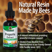 Nature's Answer - Propolis Extract, Alcohol-Free, 1,000 mg, Support A Healthy Immune System, 30 ml