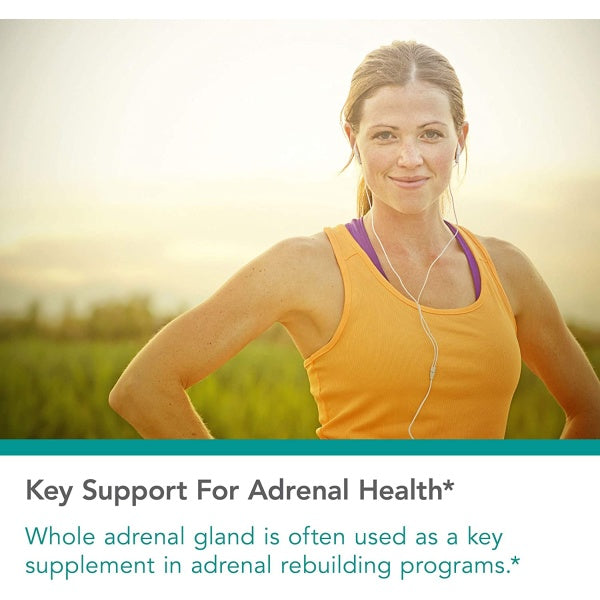 Nutricology Adrenal , Natural Glandular – Stress, Energy & Adrenal Support 150 Veg caps
