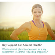 Nutricology Adrenal , Natural Glandular – Stress, Energy & Adrenal Support 150 Veg caps