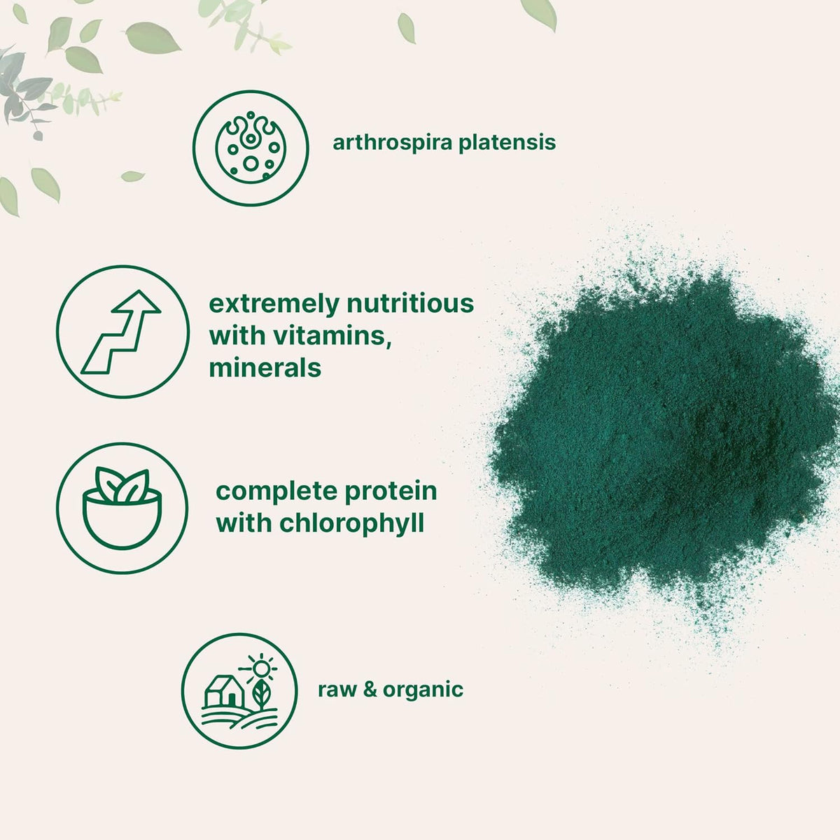 MicroIngredients Organic Spirulina Powder 454g