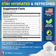 Dr Berg Electrolyte Powder Raspberry and Lemon Flavor 660g