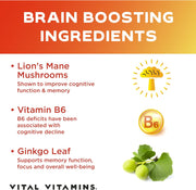 Vital Vitamins for Memory and Focus, Clarity & Brain Support includes Vitamin B12, Gingko Biloba & DMAE 60 capsules
