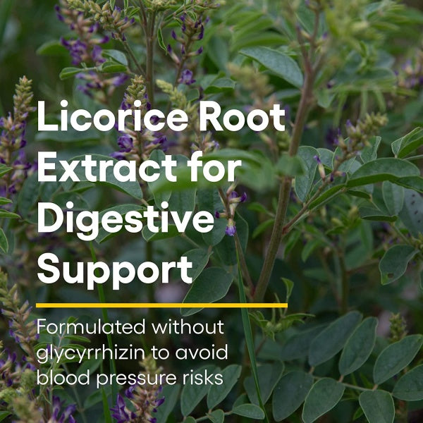 Natural Factors DGL Deglycyrrhizinated, Licorice Root Extract for Healthy Digest, 180 Chewable Tablets