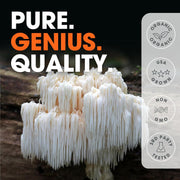 The Genius Brand Genius Lions Mane Support Foucs & Memory & Mood 120 Veg Caps