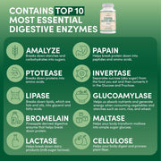 Double Wood Essential Digestive Enzymes 800mg 180 Caps