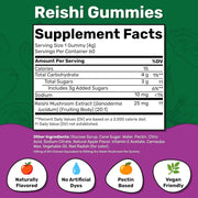 Fungies Reishi Mushroom 60 gummies
