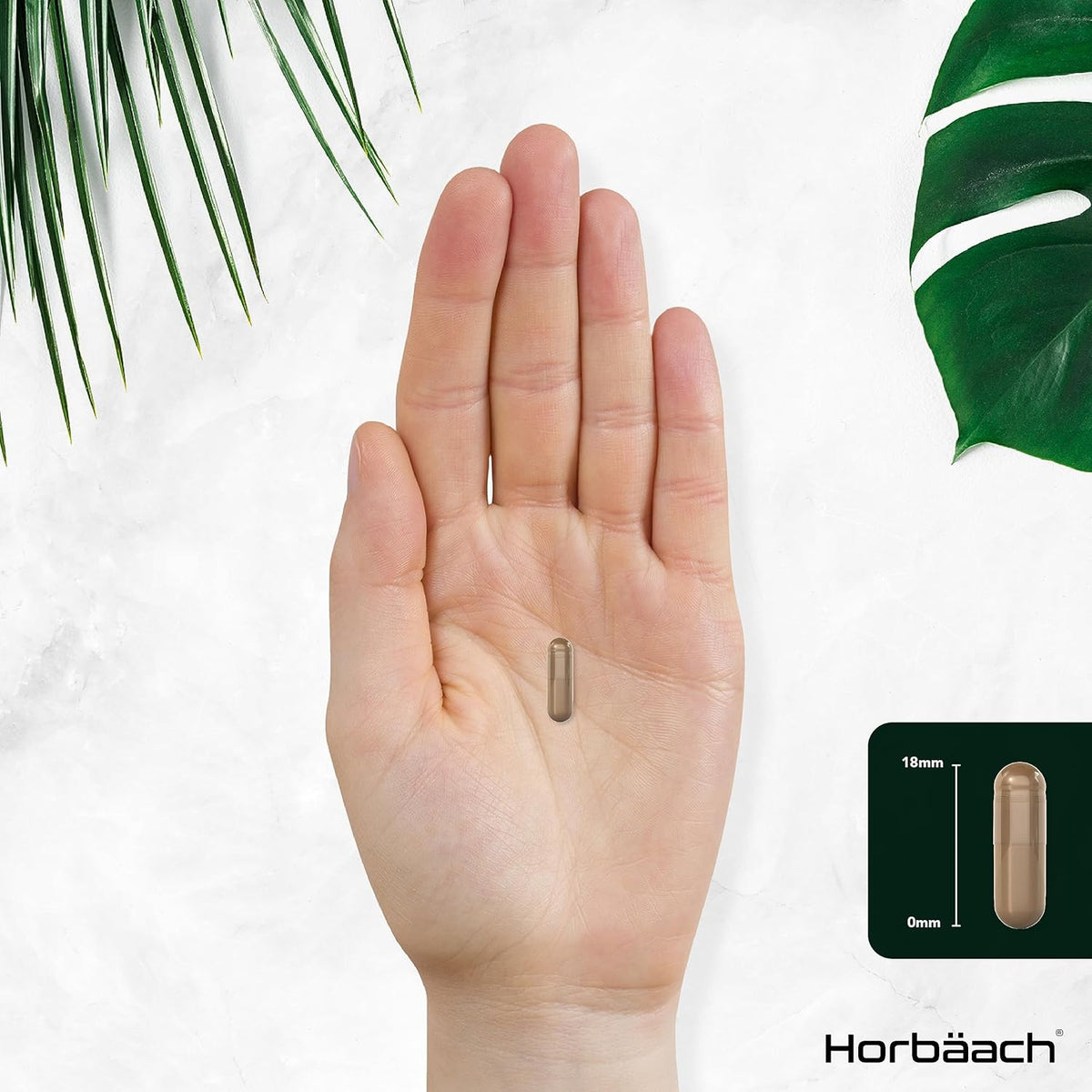 Horbaach Irish Sea Moss & Bladderwrack 4000 mg 60 Veg Caps