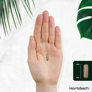 Horbaach Irish Sea Moss & Bladderwrack 4000 mg 60 Veg Caps