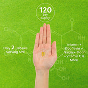 Deal Supplement Bioactive B Complex Supports increased energy levels & Nervous system health 240 Veg Caps