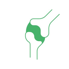 Bone, Joint & Muscles