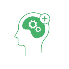 Brain , Memory & Cognition