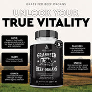 Ancestral Supplement Grass-Fed Beef Organs 500mg Boosts Energy, Stamina & Recovery180 Capsules