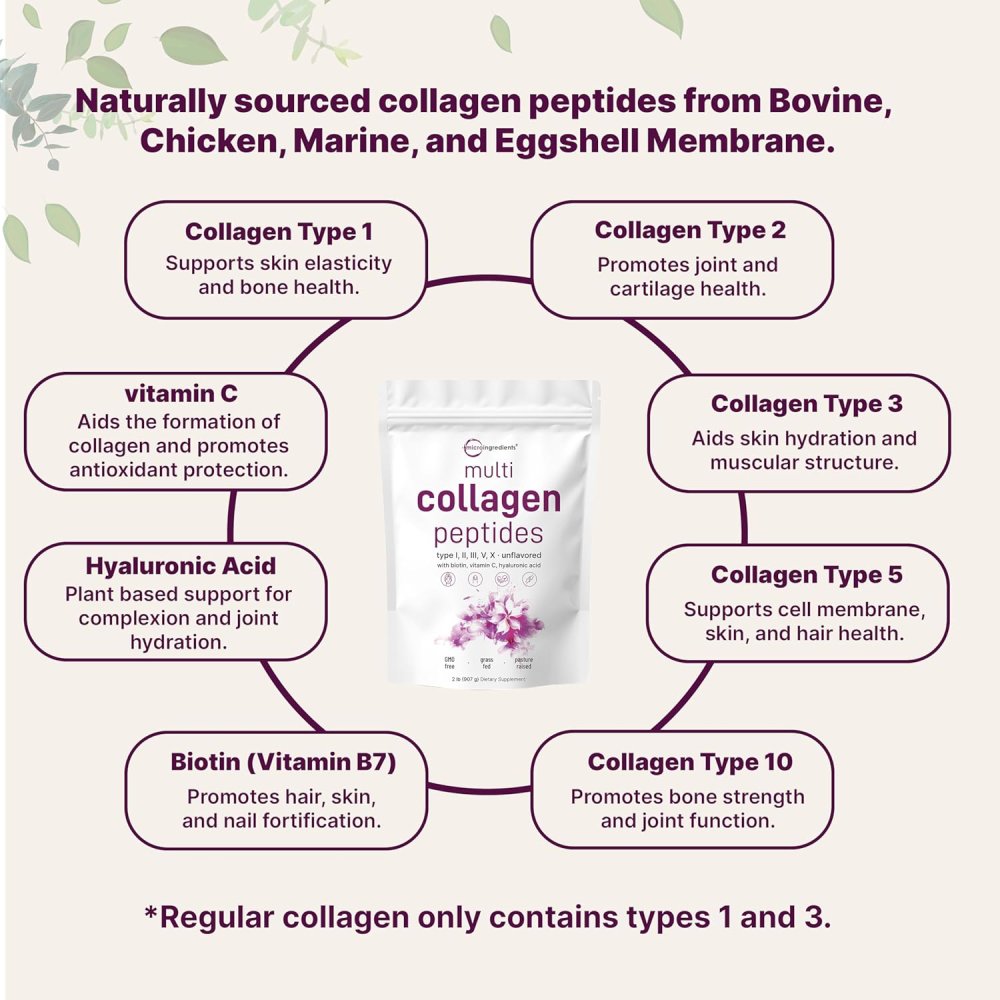 MicroIngredients Multi Collagen Peptides with Biotin & Vitamin C & Hyaluronic Acid Supports skin elasticity, joint mobility, bone strength, and overall body repair 907 Unflavored
