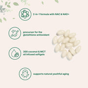 MicroIngredients Nac 600mg Supports Liver, Lung, and Immune Health With Powerful Antioxidant Properties 300 Softgels