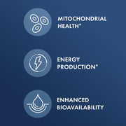 Dr Mercola Berberine And Micropqq Advanced To Help Maintain Healthy Blood Sugar Levels, Support Cardiovascular Health, and Promote Overall Wellness 30 Caps