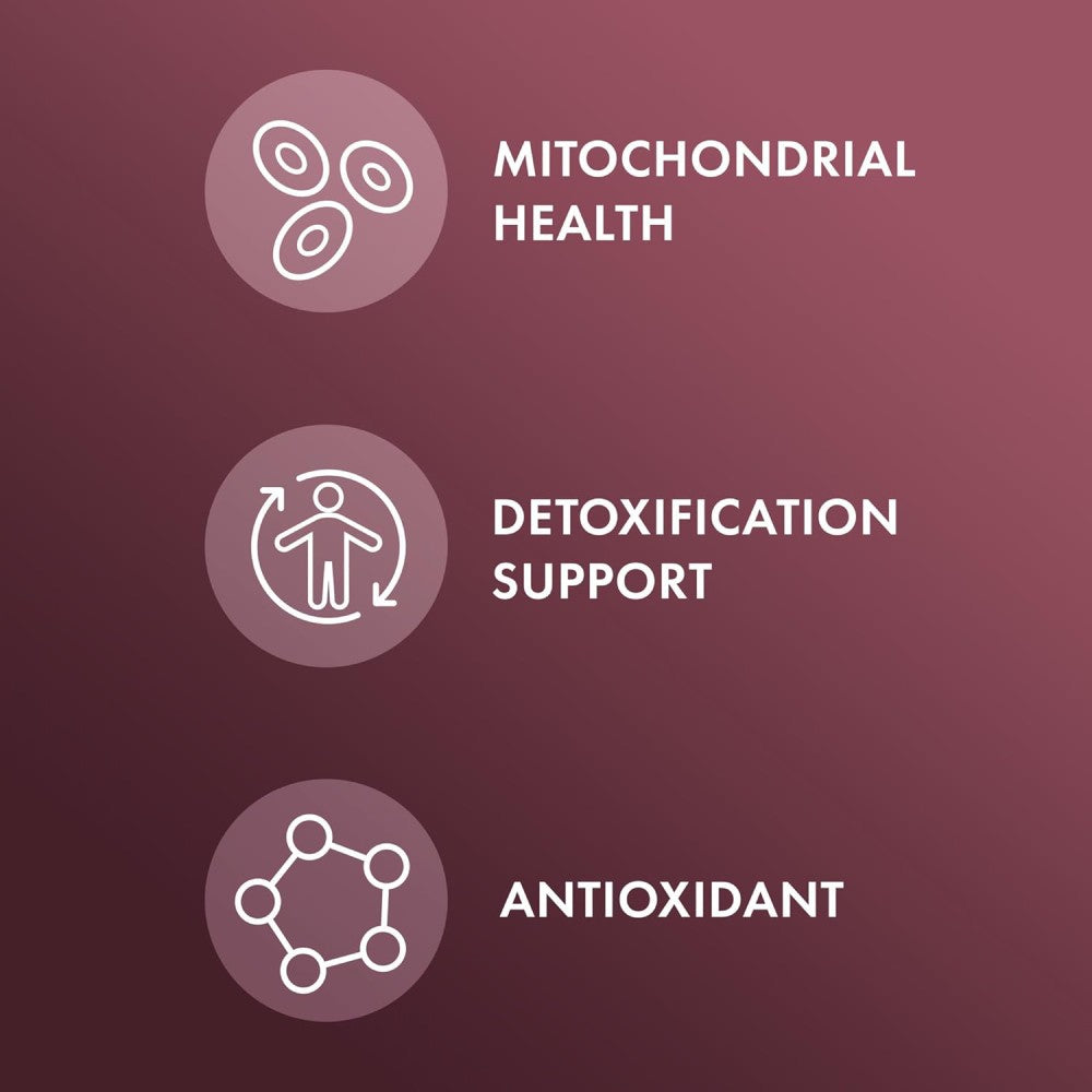 Dr Mercola Nac With Milk Thistle 500mg To Support Liver Health and Promote the Body’s Natural Detoxification Processes 60 Caps