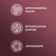 Dr Mercola Nac With Milk Thistle 500mg To Support Liver Health and Promote the Body’s Natural Detoxification Processes 60 Caps