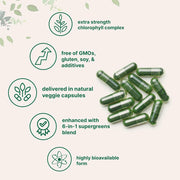 Microingredients Chlorophyll 3000mg To Support Natural Detoxification, Digestive Health, and Overall Vitality. 240 Veg Caps