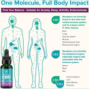 Beyou Cbd Oral Drops Spray 4800mg Supporting Relaxation,Comfort, and Improved Sleep Quality Berry Flavour 30ml