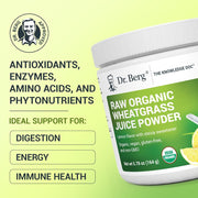 Dr berg Raw Organic Wheatgrass Juice Powder To Support Overall Health and Boost Daily Energy Levels 164g Lemon Flavor With Stevia Sweetener
