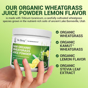 Dr berg Raw Organic Wheatgrass Juice Powder To Support Overall Health and Boost Daily Energy Levels 164g Lemon Flavor With Stevia Sweetener
