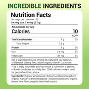 Dr berg Raw Organic Wheatgrass Juice Powder To Support Overall Health and Boost Daily Energy Levels 164g Lemon Flavor With Stevia Sweetener