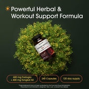 Naturebell Fadogia Agrestis 600mg To Support Men’s Wellness, Strength, and Overall Vitality 240 Caps