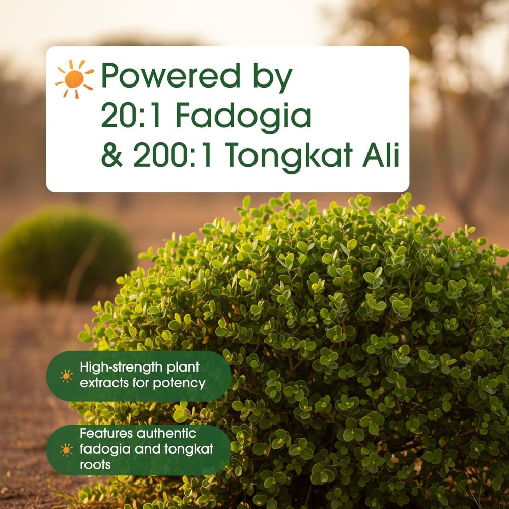 Naturebell Fadogia Agrestis 600mg To Support Men’s Wellness, Strength, and Overall Vitality 240 Caps